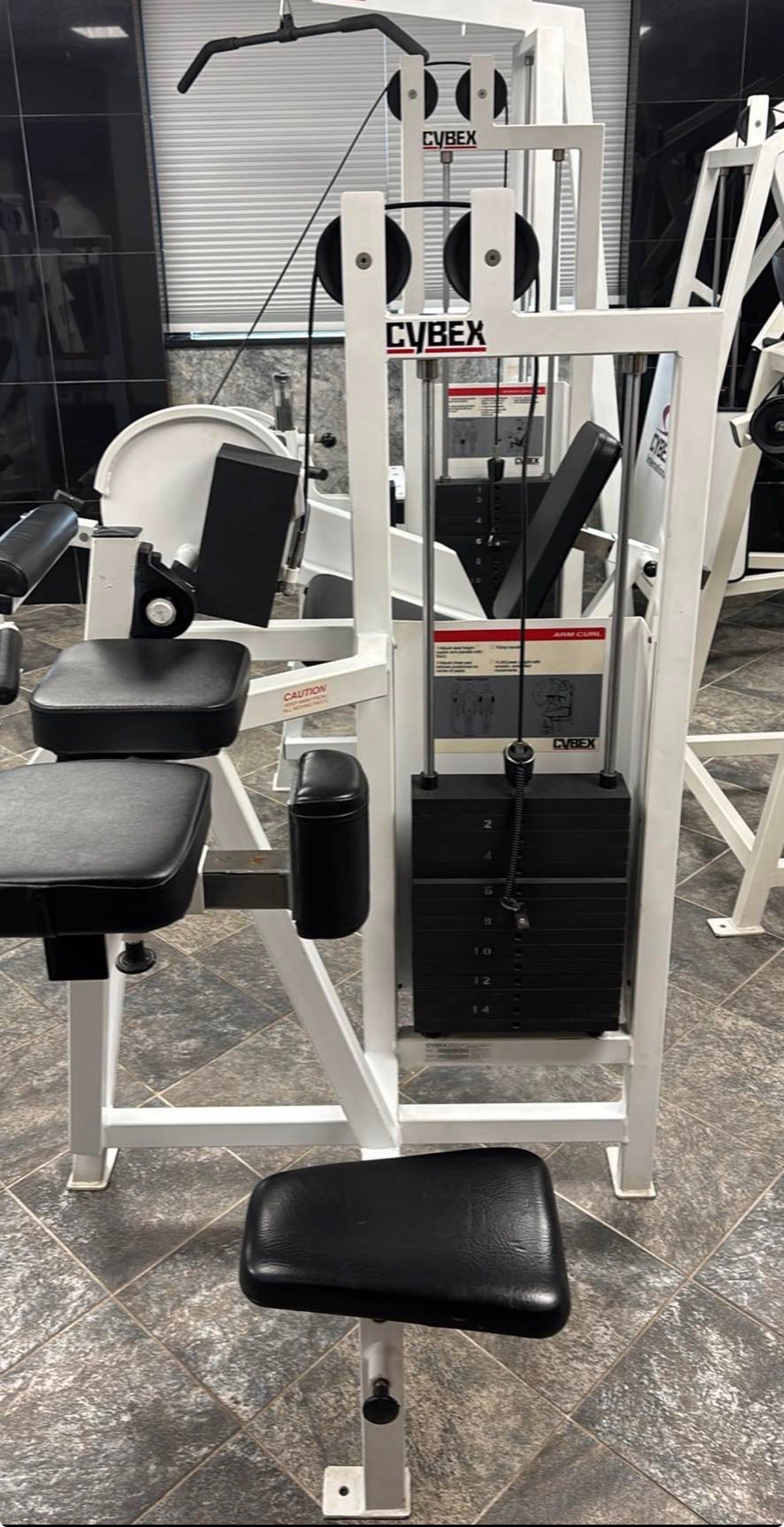 Cybex Classic Bicep Curl