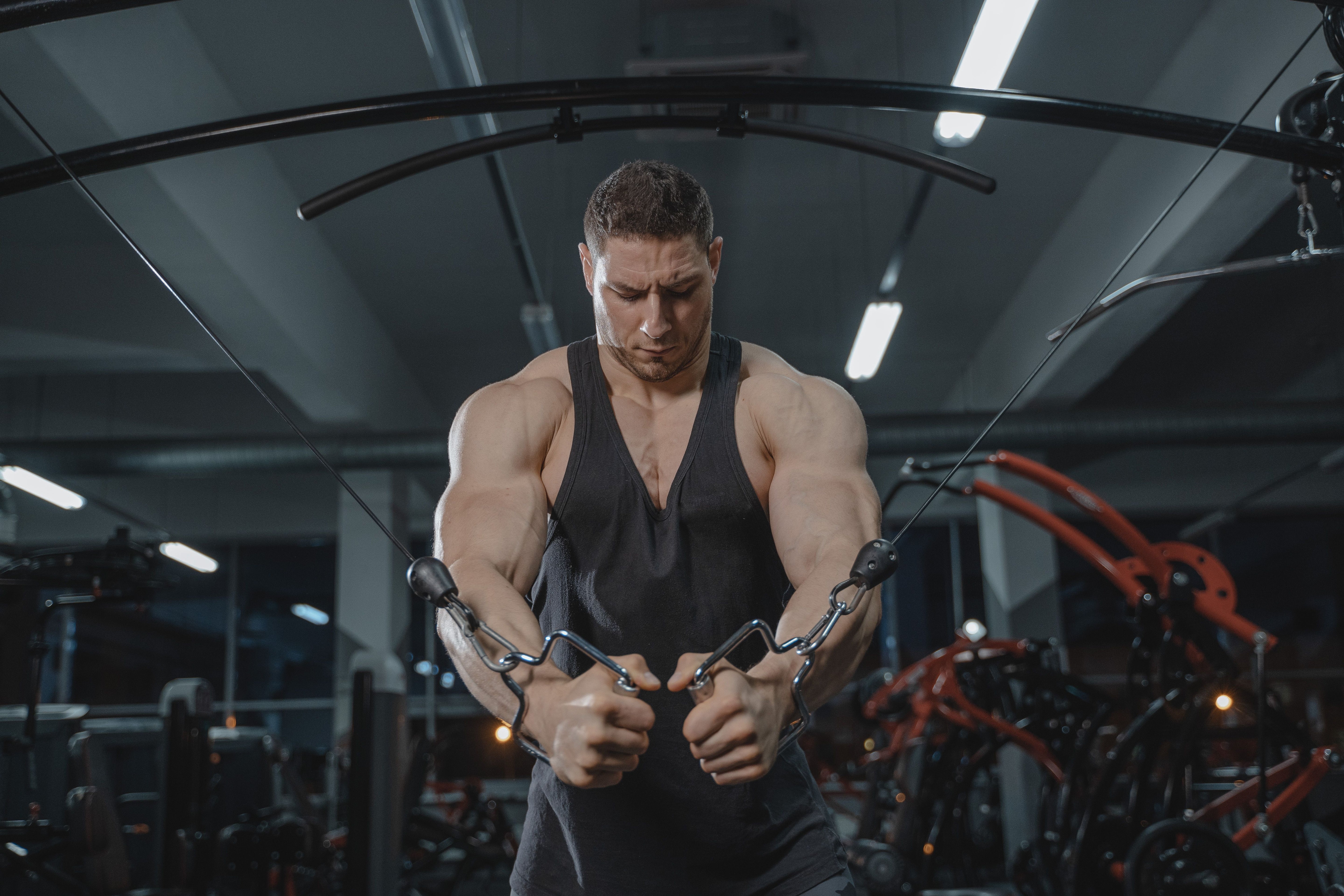 BK Gym Distro